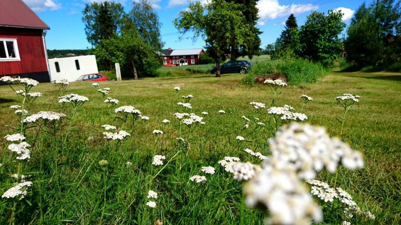 Ett Hus Med 3 Sovrum Med Supersnabba Internet Fiberanslutningen 1000Mb-100Mb I Hoeg, 7 Minuter Fran 胡迪克斯瓦尔 外观 照片